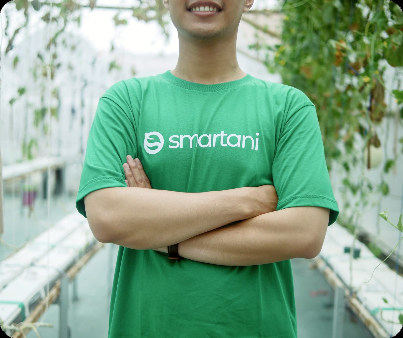 Tim Smartani di Greenhouse