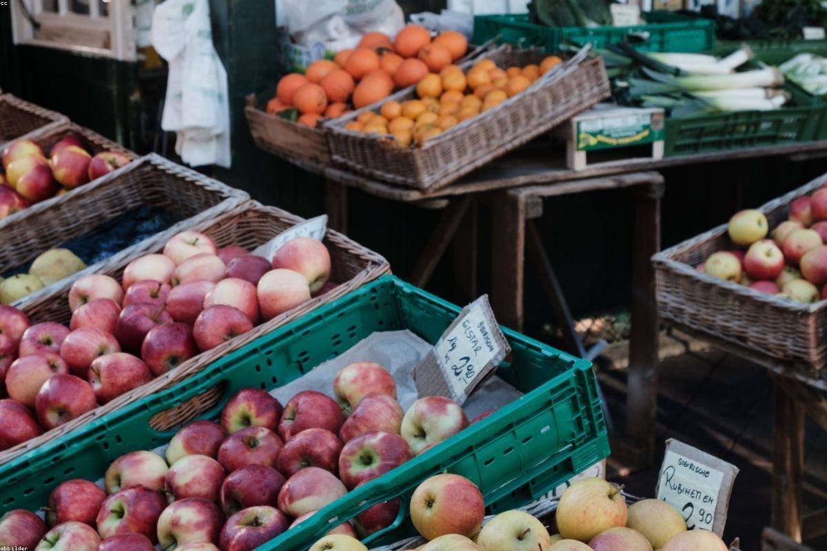 Kisah Sukses Petani Melon Milenial dengan IoT Smartani